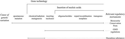 Are null segregants new combinations of heritable material and should they be regulated?